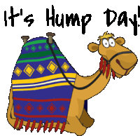 adham ramzy recommends Good Morning Happy Hump Day Gif