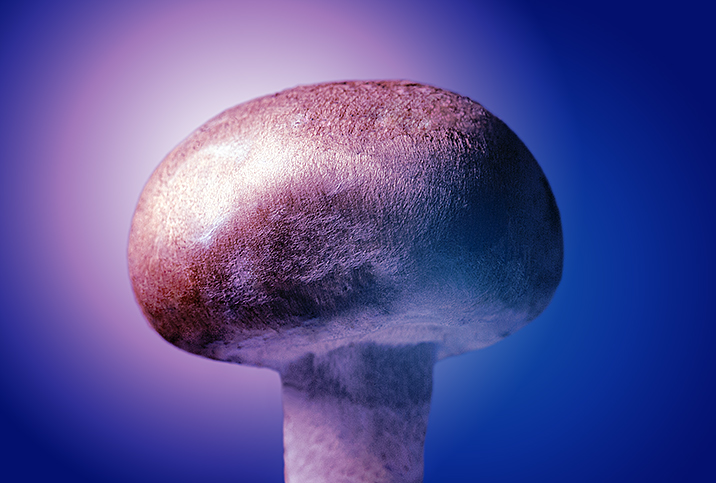 bob levasseur recommends mushroom head penis pics pic