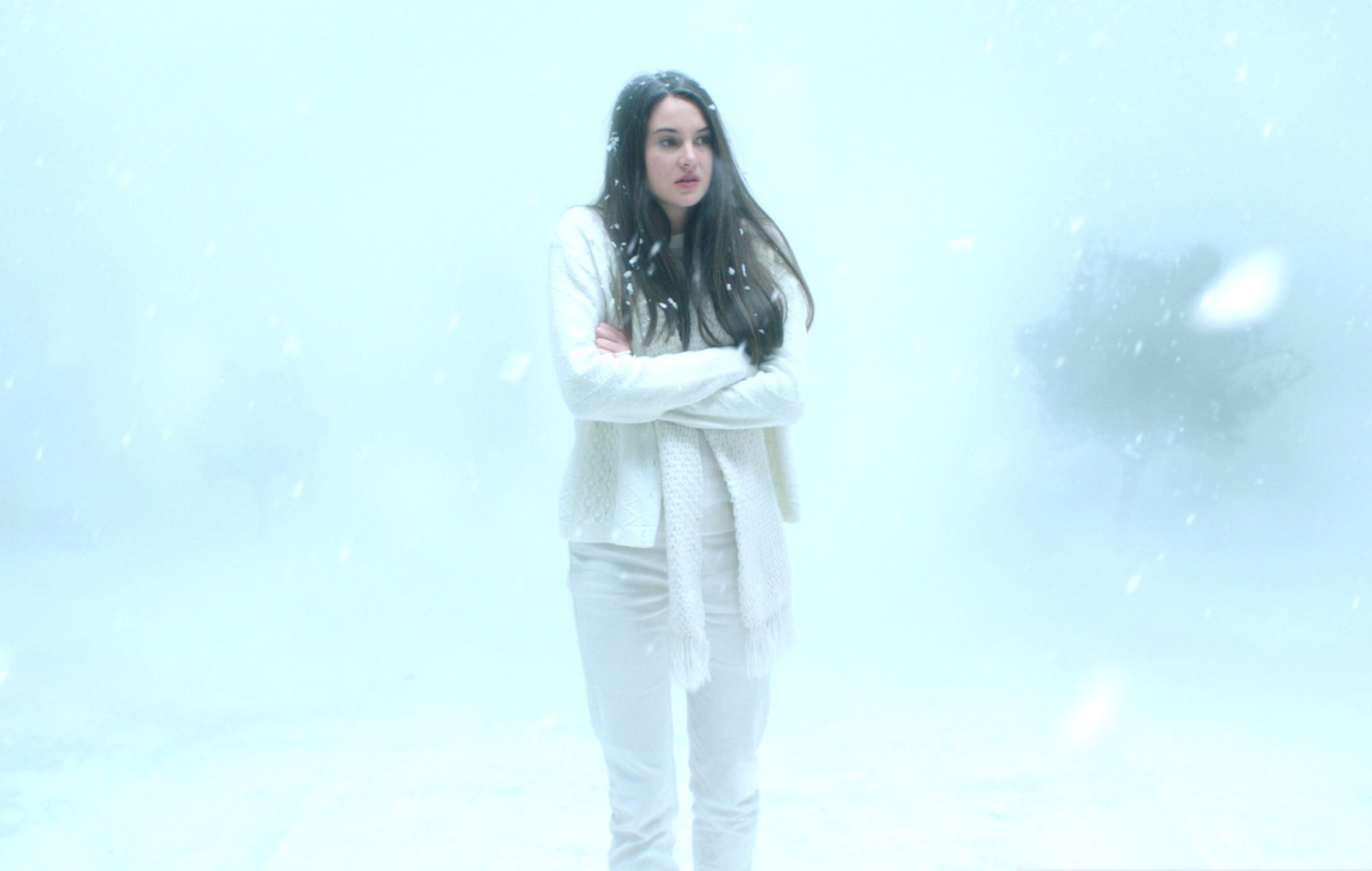 charles keith add white bird in a blizzard nudity photo