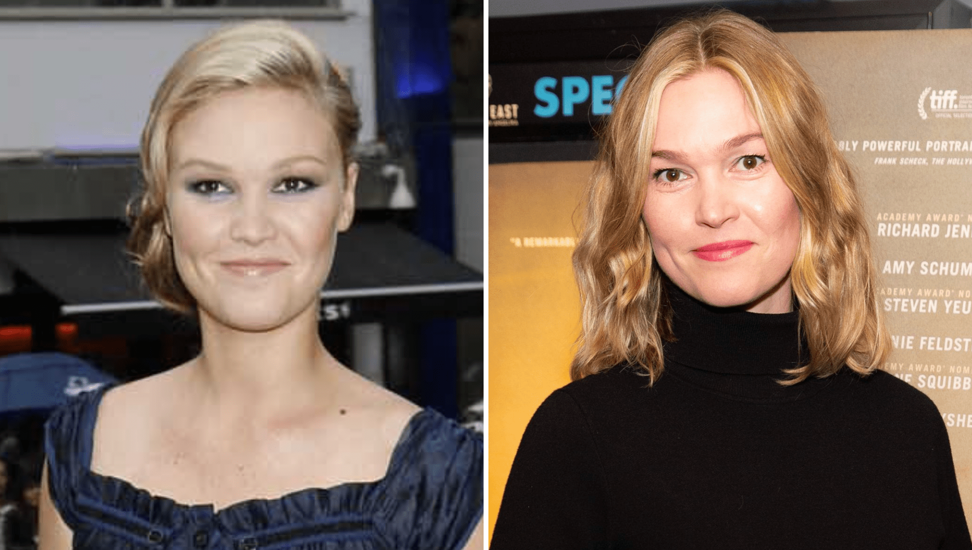 autumn hutchinson recommends Julia Stiles Ever Been Nude