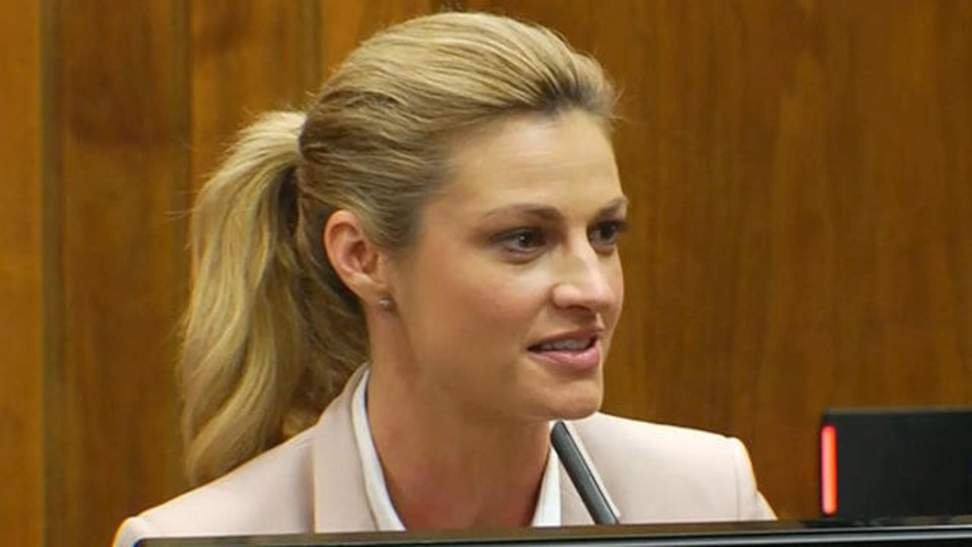 brij bhatt recommends Erin Andrews Leaked Tape