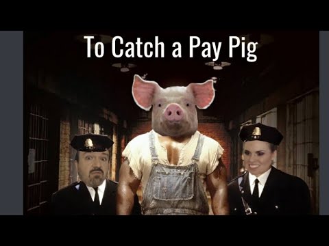 barney sharp add photo how to find a pay pig