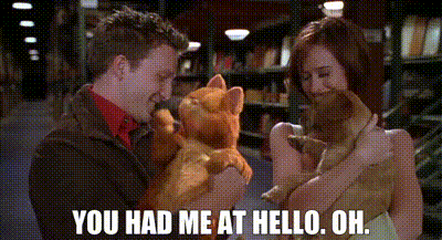 Best of You had me at hello gif