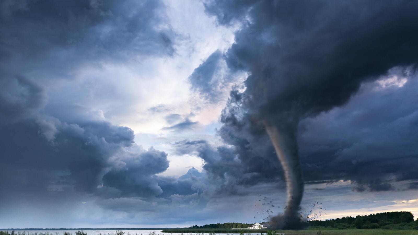 Majestic Tornado Blow Job nude tumblr