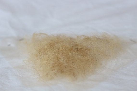 ashraf zulkifli recommends real blonde pubic hair pic