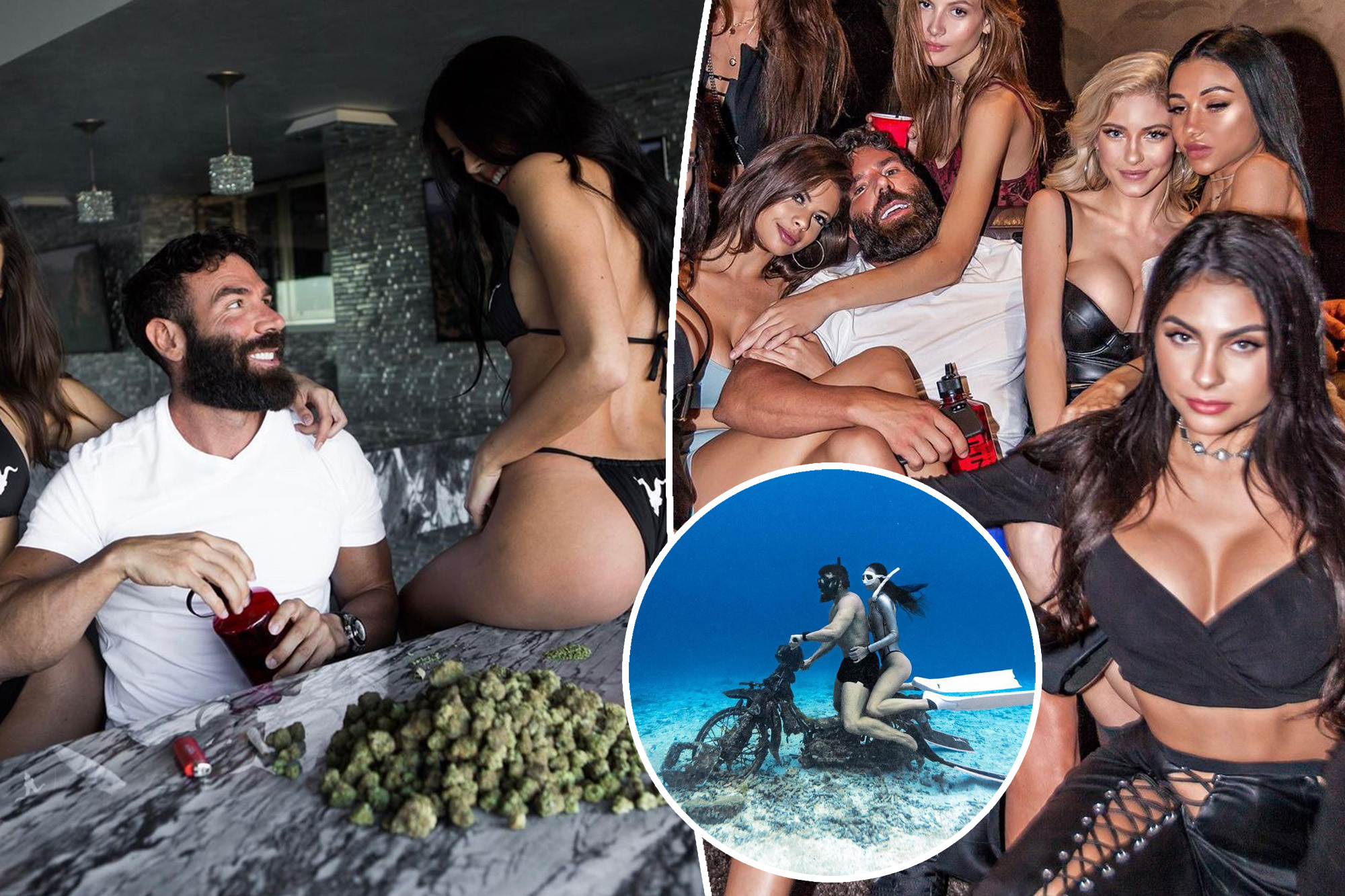 dan bilzerian sex party