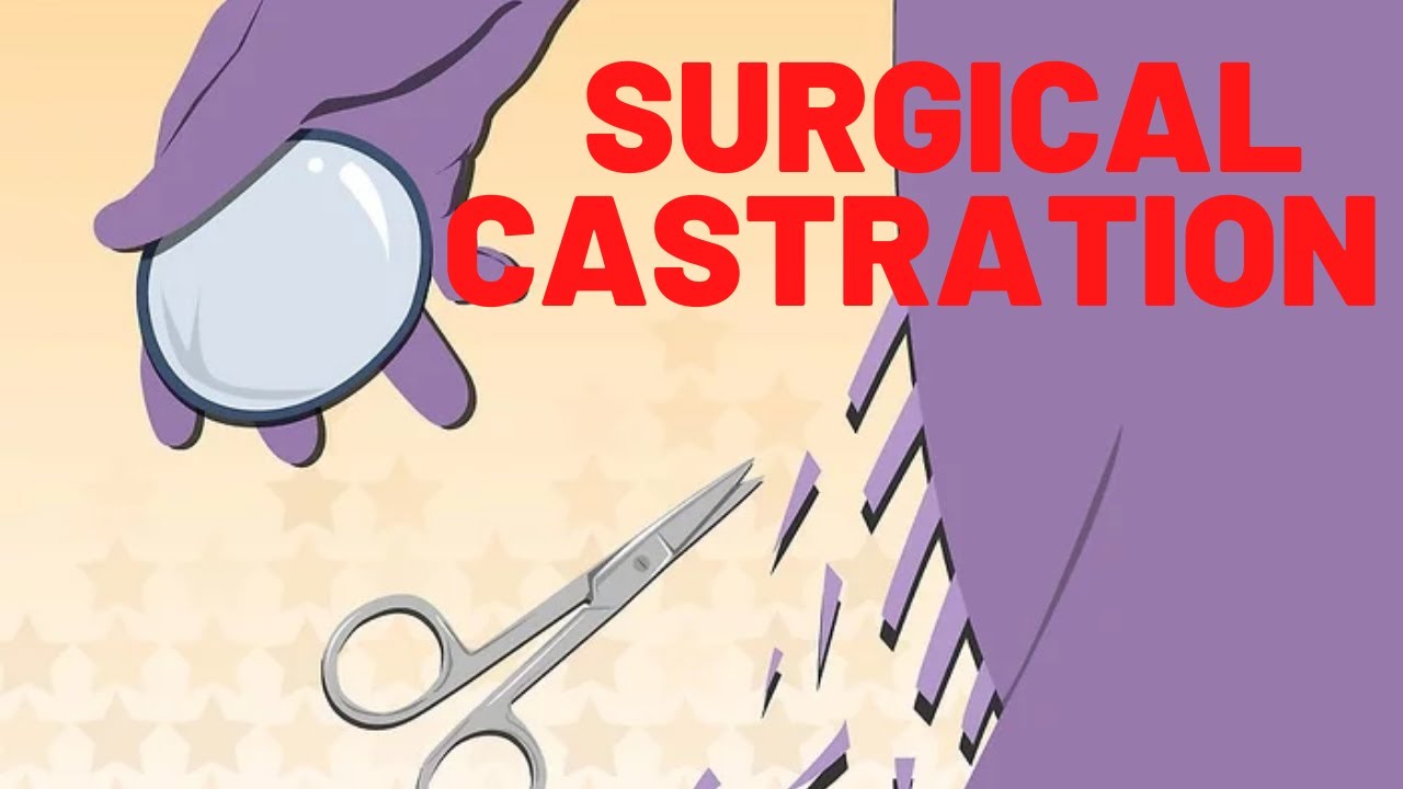 agung galunggung recommends castration video human surgery pic