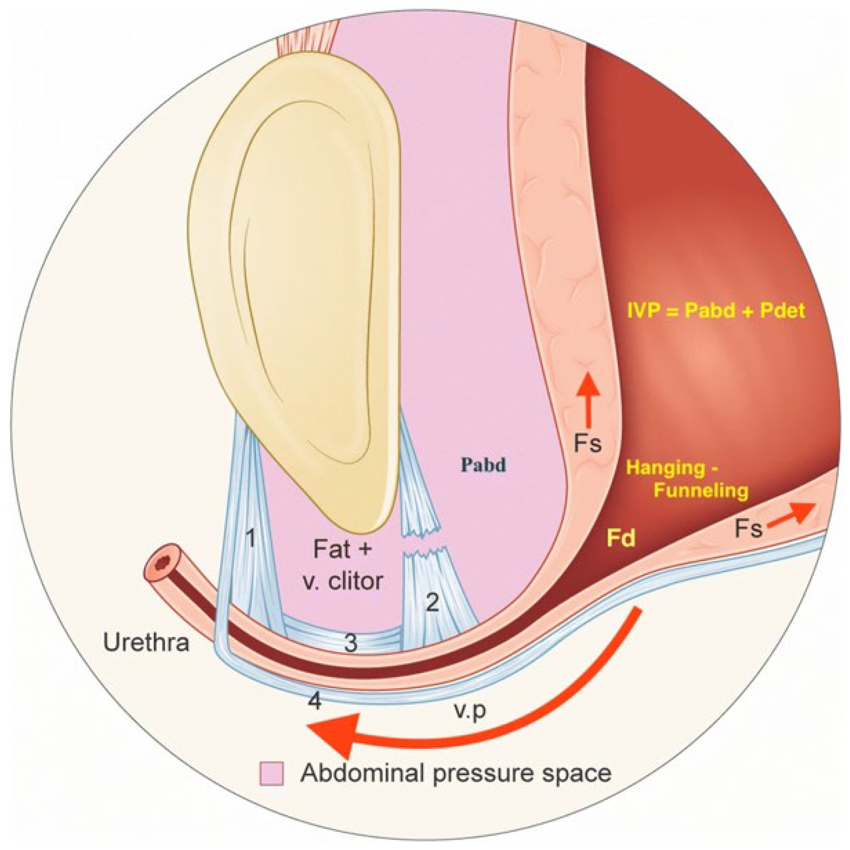 aning ning recommends pumping air into urethra pic