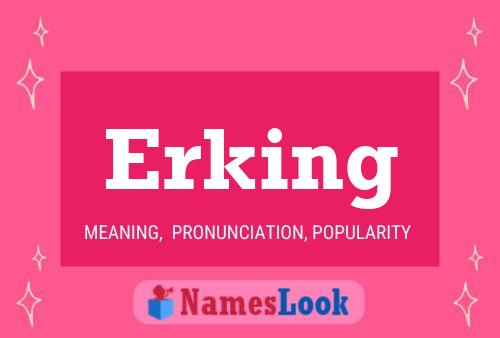 deepanshu singla recommends What Does Erking Mean