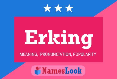 deepanshu singla recommends What Does Erking Mean