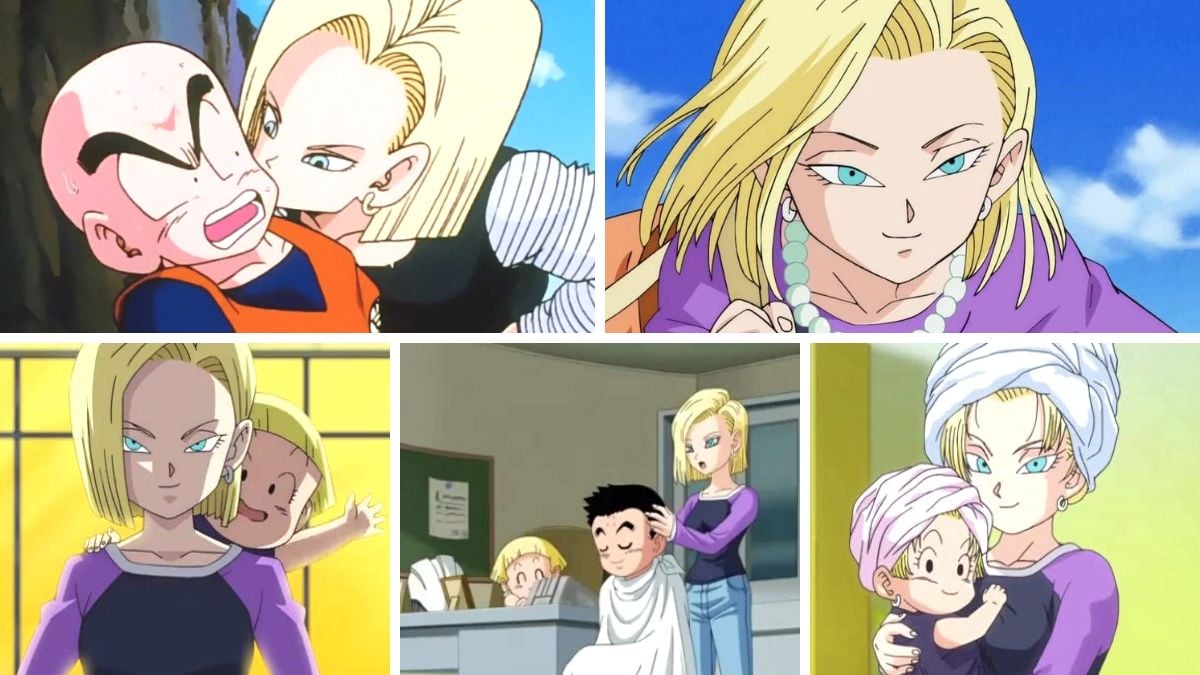 krillin x android 18