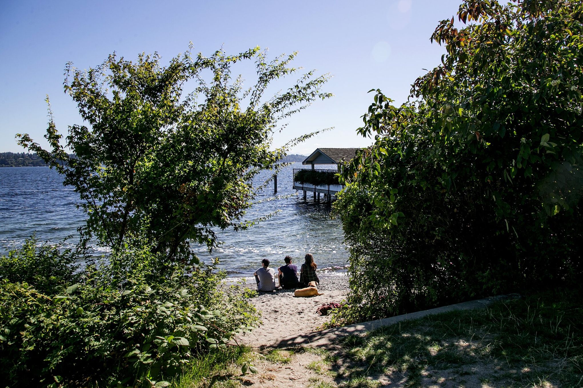 andy neils add nude beaches near seattle photo