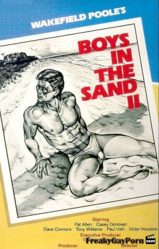denny negron recommends Boys In The Sand Porn