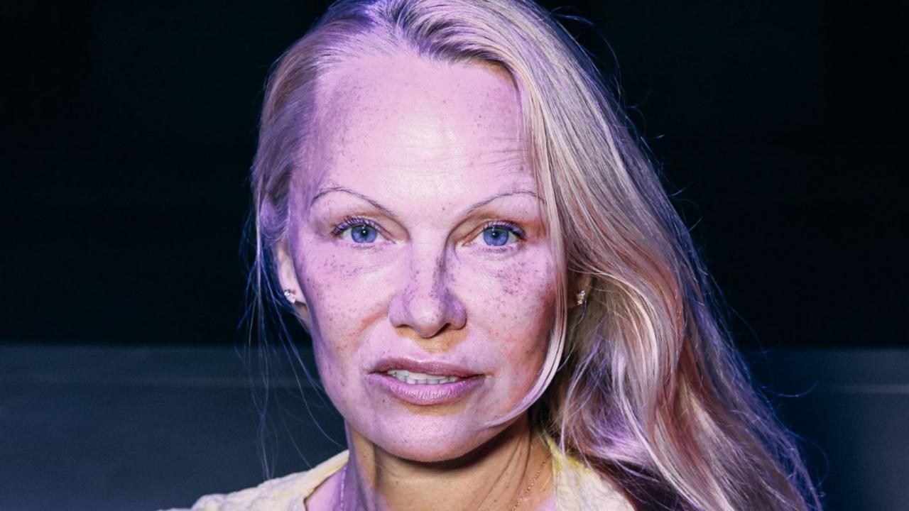 Pam Anderson Free Porn voyeur seductions