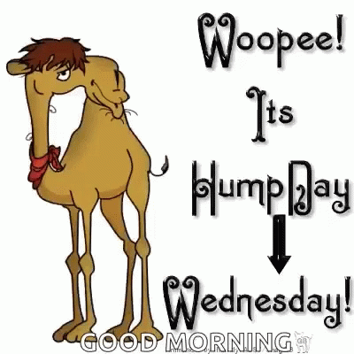 camille bonnin recommends good morning happy hump day gif pic