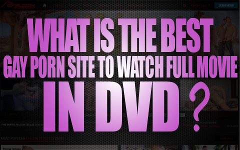 chitra bhardwaj recommends watch full porn dvd pic