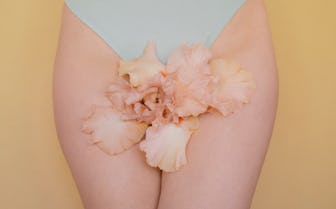 Most Beautiful Vagina Pictures sitting igfap