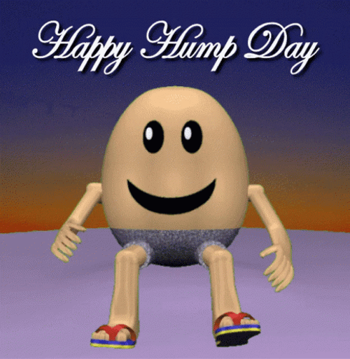 Good Morning Happy Hump Day Gif penis cumception