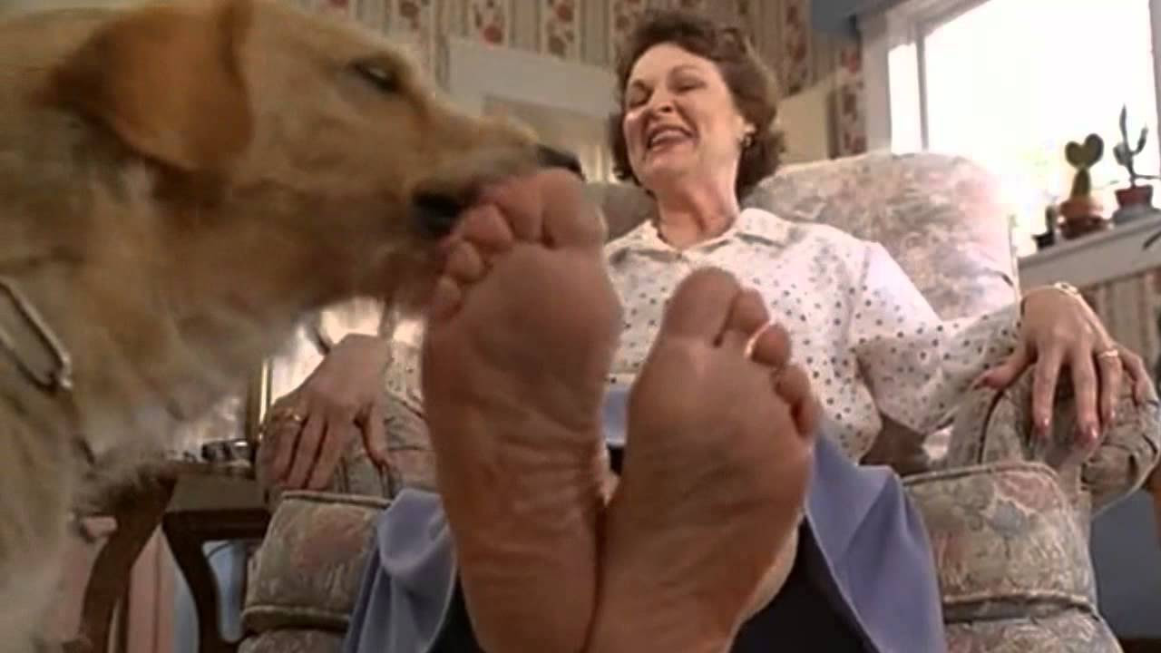 cara davidson share licking my moms feet photos