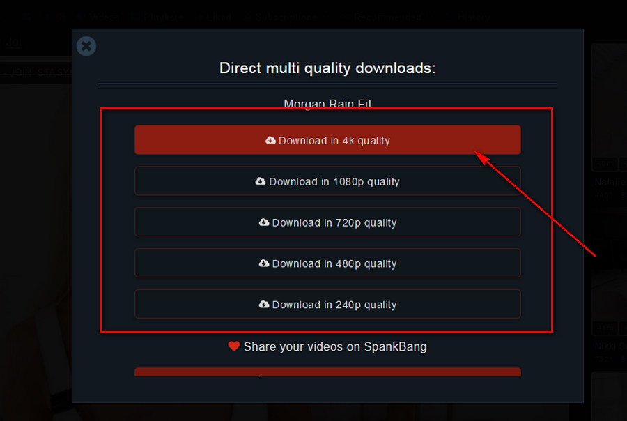 how to download from spankbang