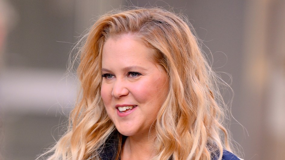 bruce basaraba recommends Amy Schumer Snatched Topless
