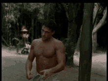 christopher medcalf recommends jean claude van damme gif pic