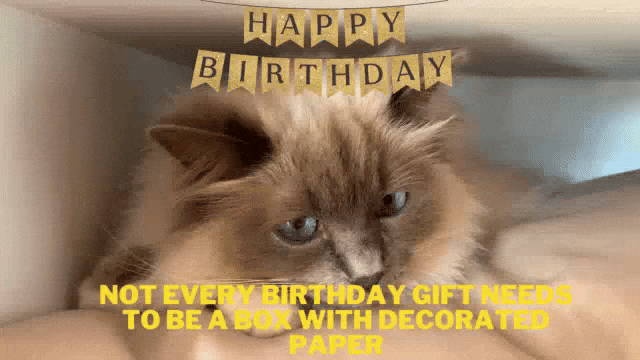 danielle mcdougall recommends happy birthday big brother funny gif pic