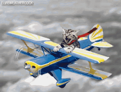 airplane blow up pilot gif