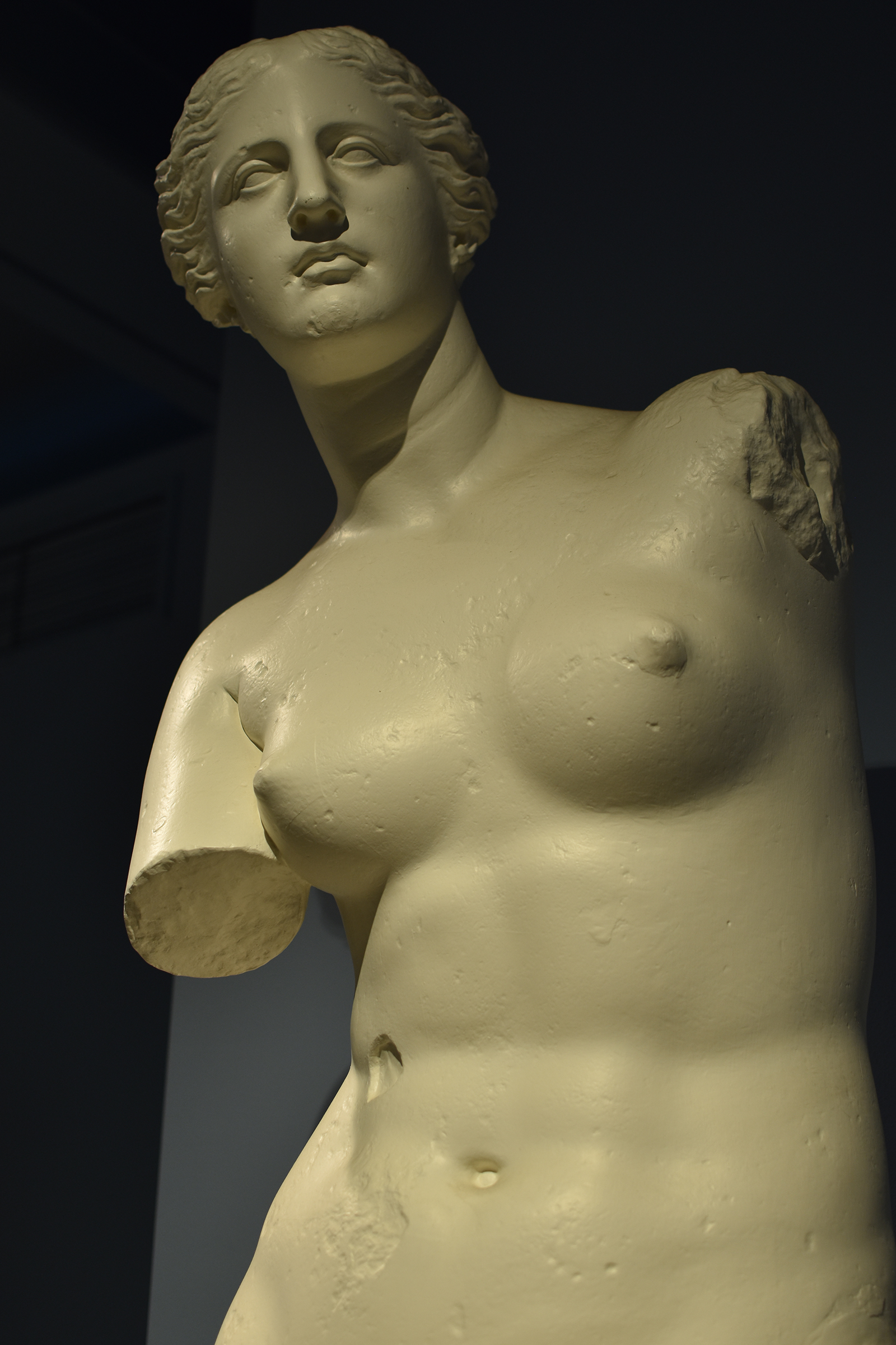 venus de milo porn