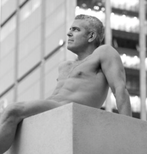 brodie warner recommends Andy Cohen Nudes