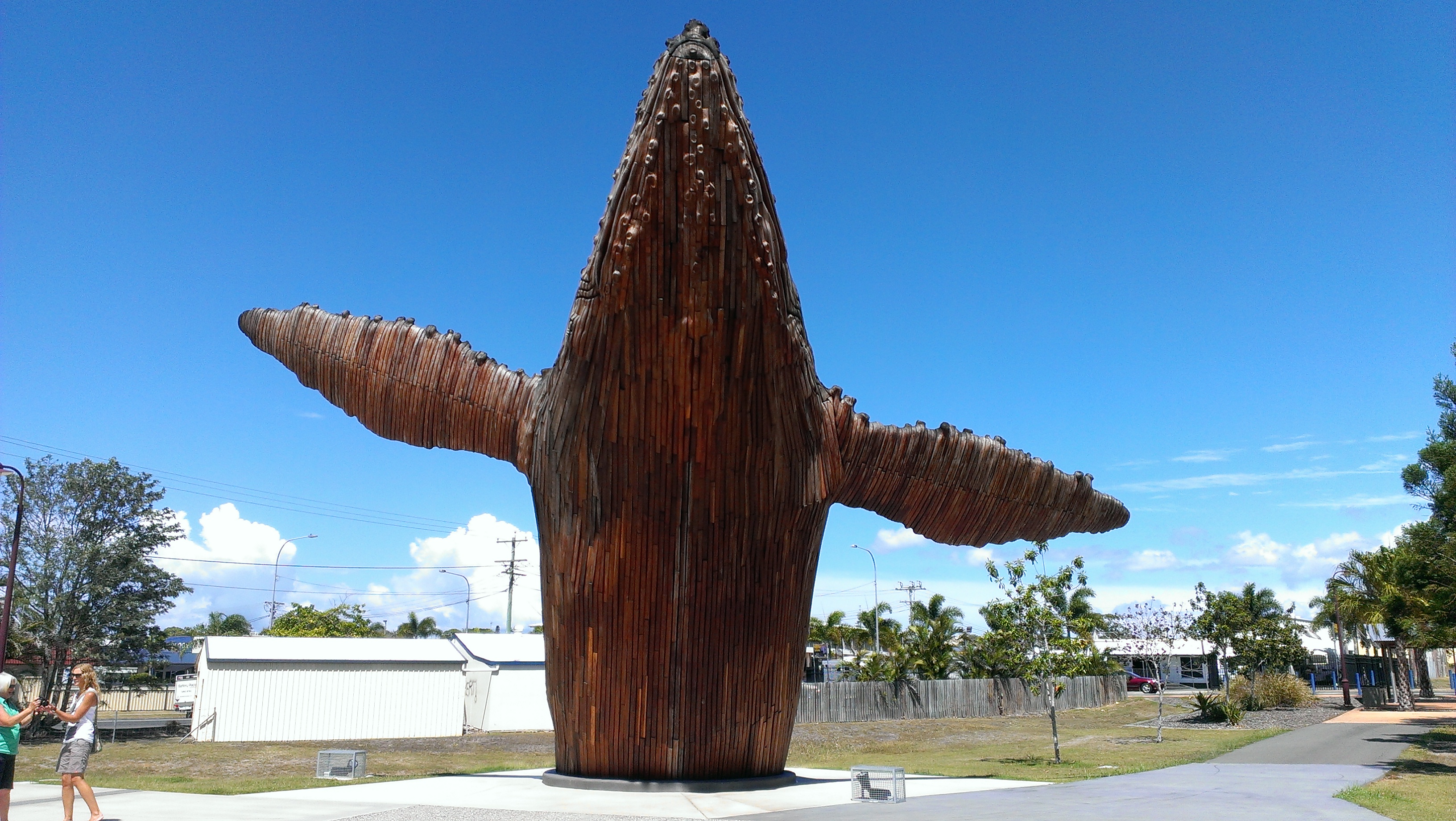 whale tails in public