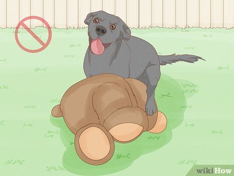 denny welsh recommends How To Hump Wikihow