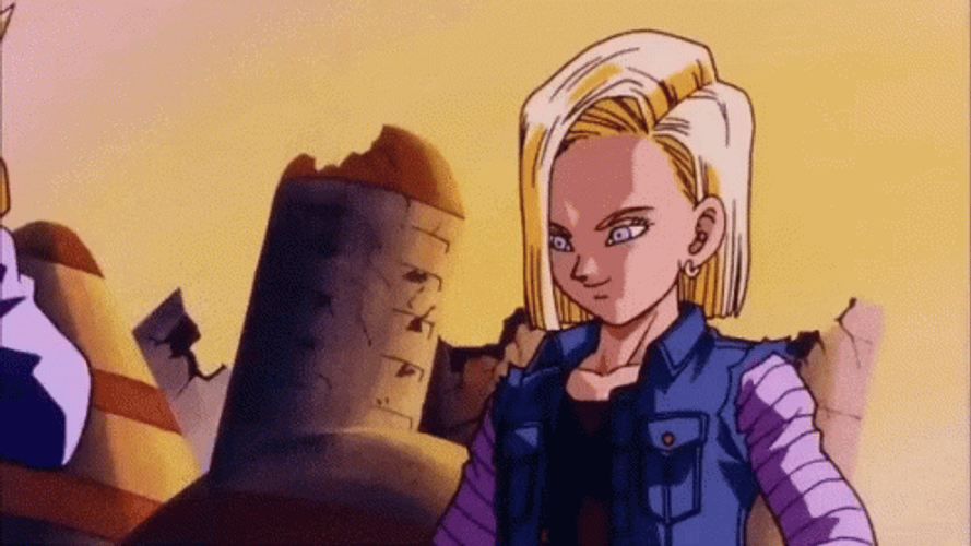 aber saleh recommends Android 18 Gif