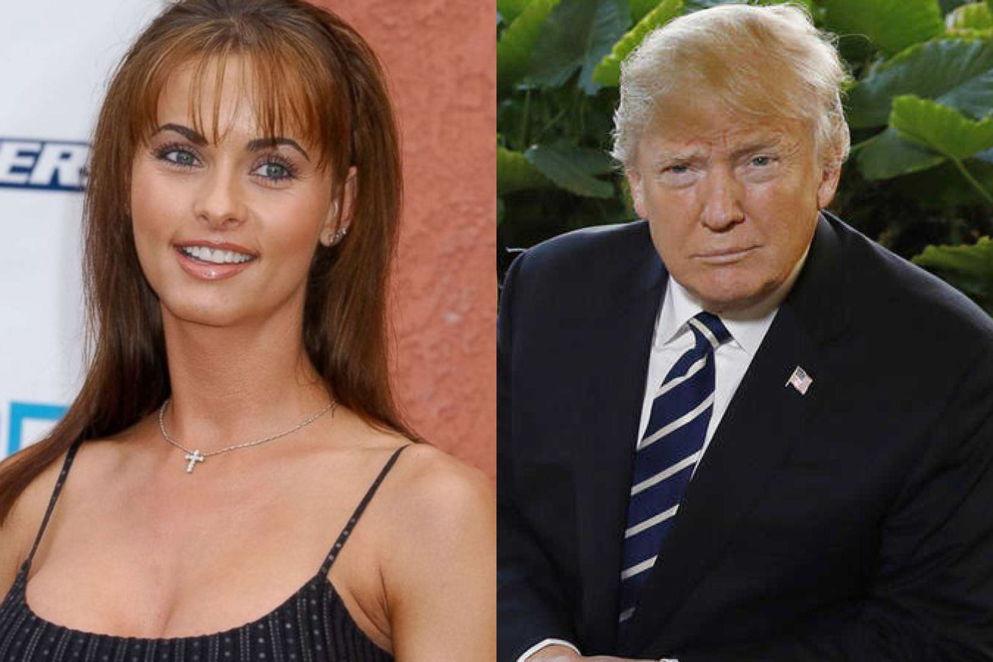 aron stewart recommends pictures of karen mcdougal pic