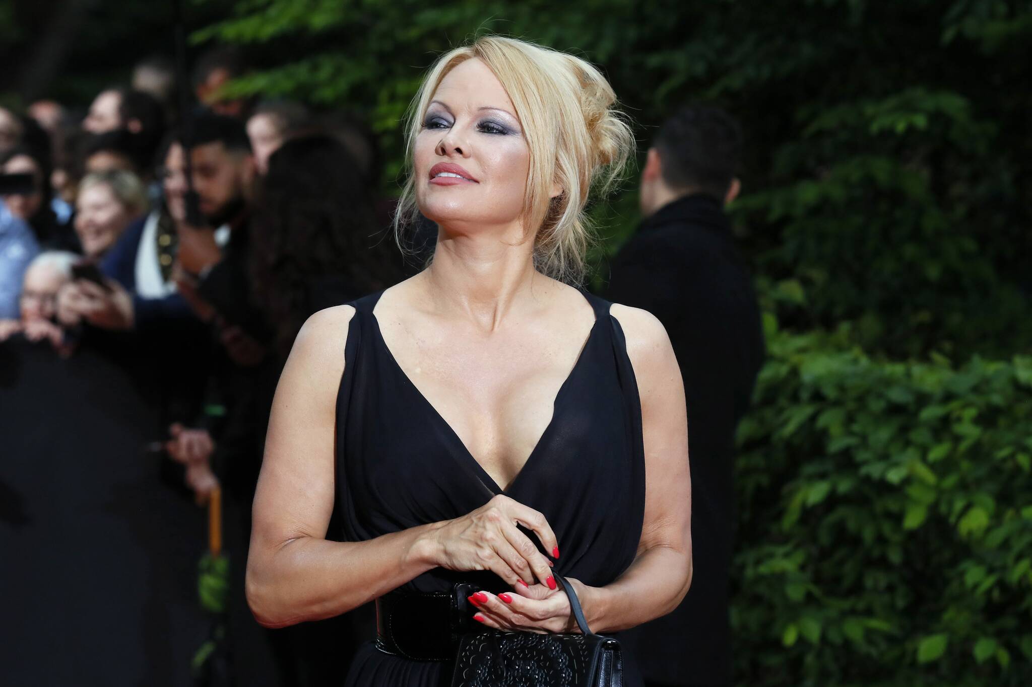 carole savard recommends Pamela Anderson Free Sextape