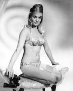 badrul sani recommends shirley eaton naked pic