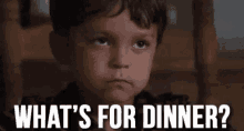 dawna warren recommends Whats For Dinner Gif