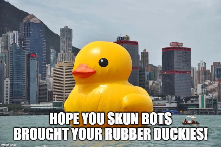 austin hovarter recommends rubber ducky youre the one gif pic