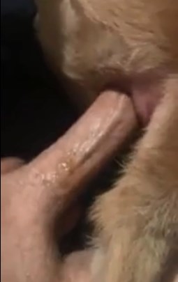Men Fucking Animals Porn enema clinic