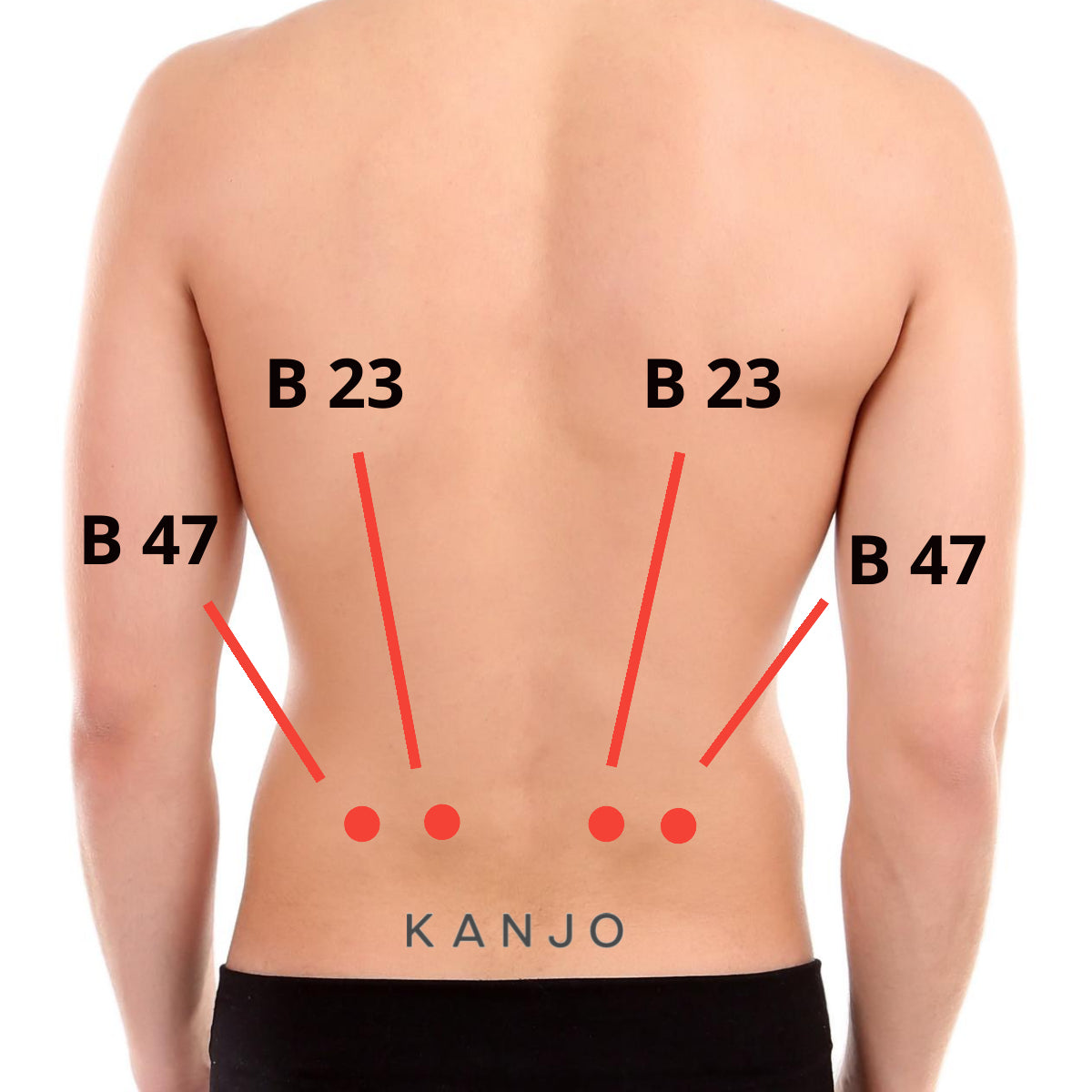 darlis anderson recommends massage sex trigger points pic