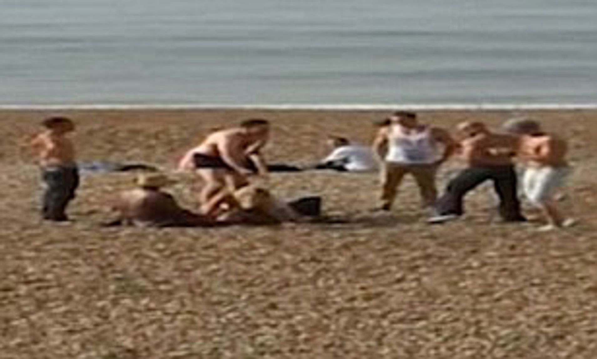 adam winsor recommends nude beach couple sex pic