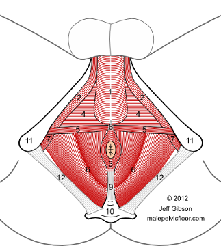 Massage Sex Trigger Points sem tarja