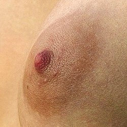 craig sellman share women with small areolas photos