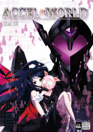 accel world ep 5