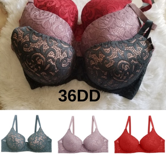 what do 36 dd look like