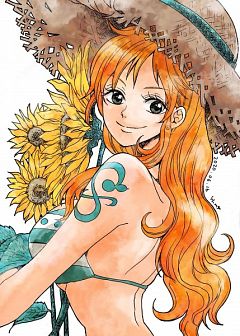 corinna wallace recommends one piece nami manga pic