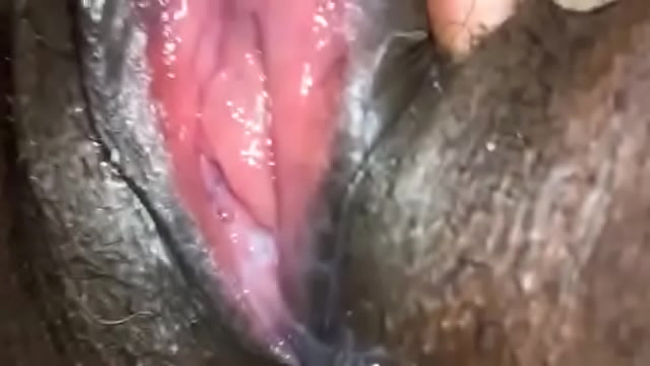 chadd greenville recommends wet black pussy vids pic
