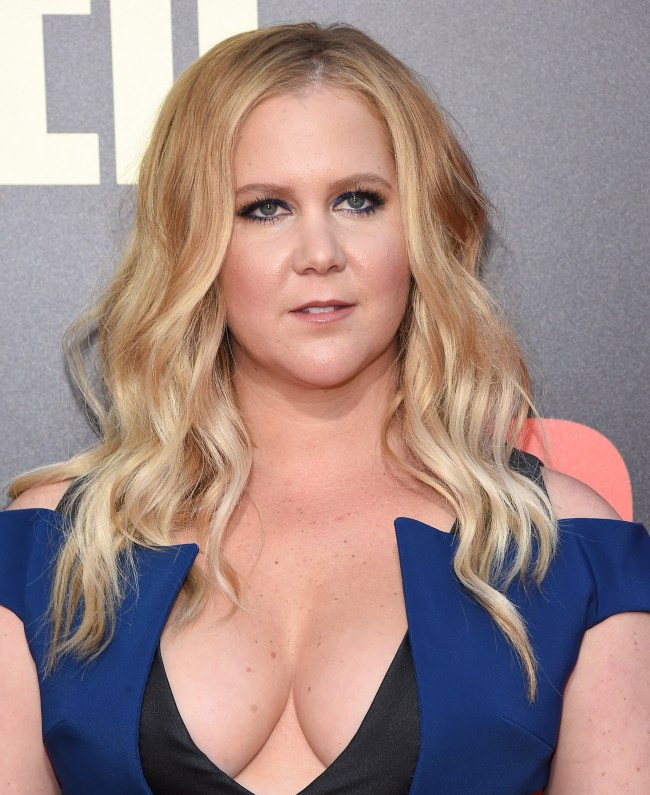aditi chaturvedi recommends amy schumer snatched boobs pic
