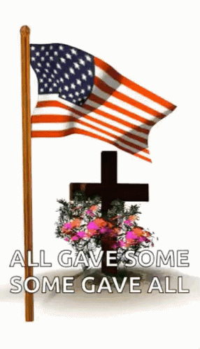 aaron alim recommends us flag gif pic