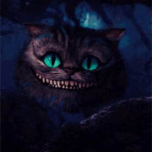 Best of Cheshire cat gifs